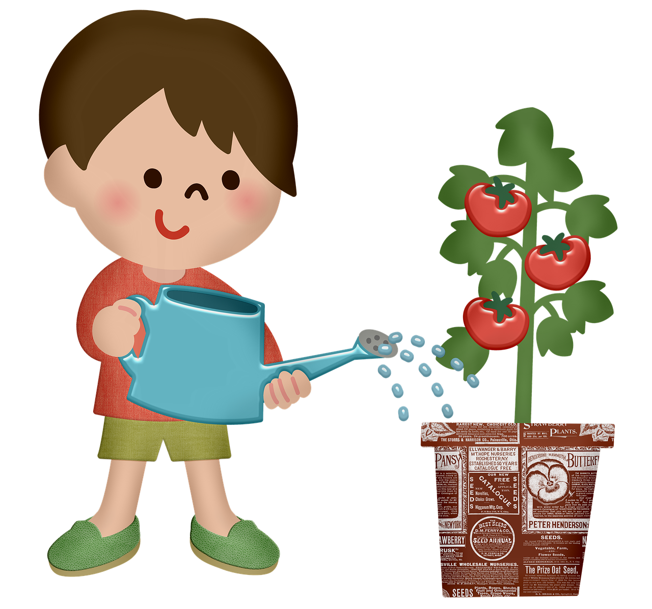 Boy Watering Plant Watering Can  - 7089643 / Pixabay